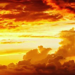 Meet your Posher, Ava